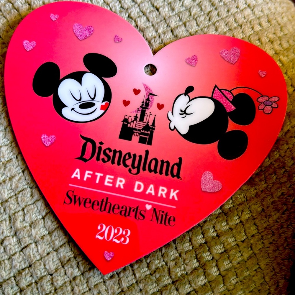 Disneyland Memorabilia-2